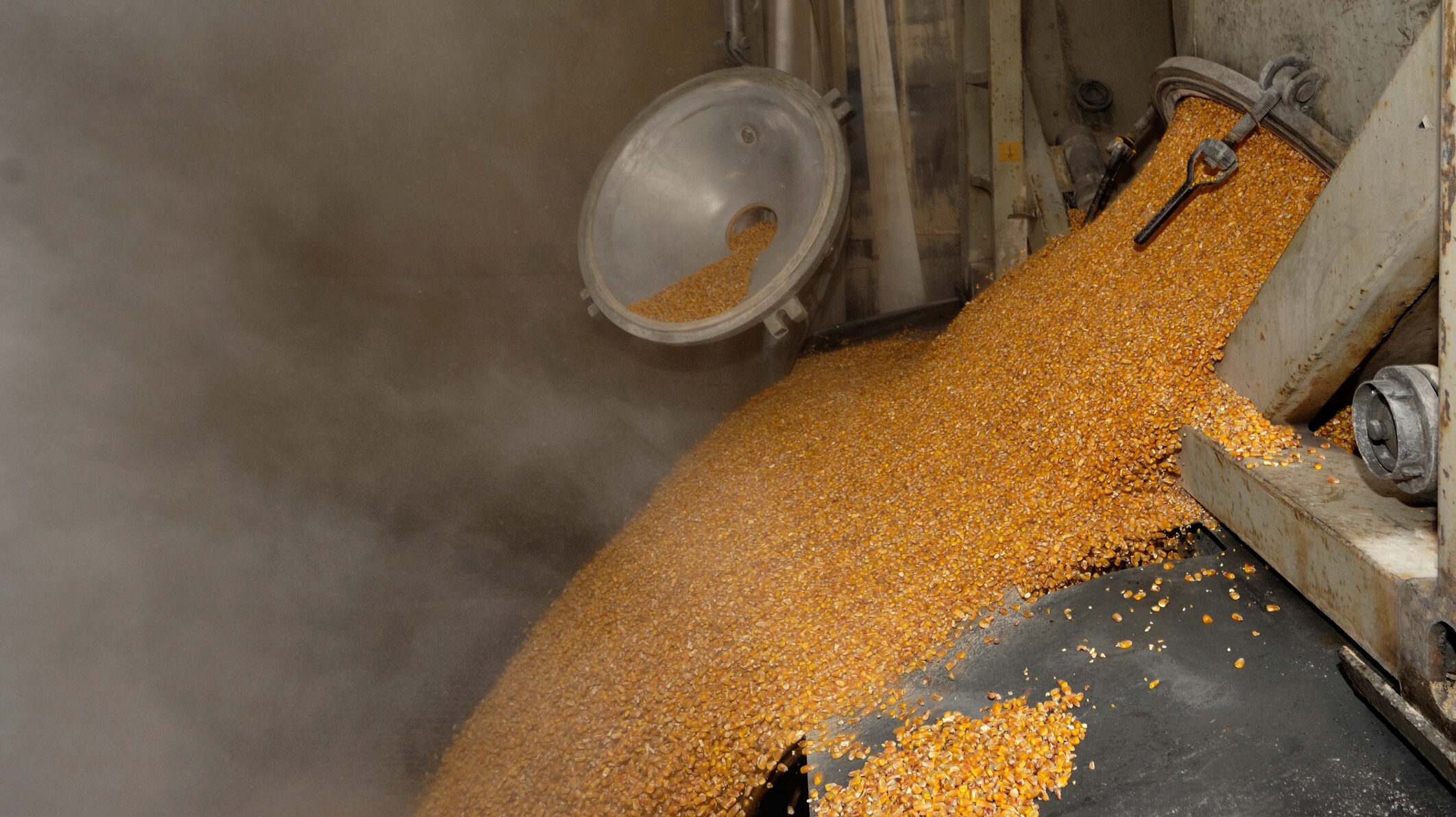 Dumping of wheat grains