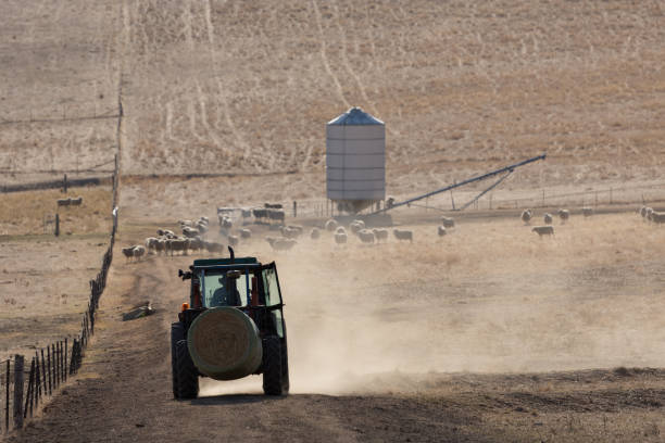 A backlit photo of a tractor with dust and a silo in the background.